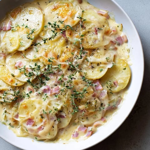 **Plateau Moufle Chaud et Confortable**